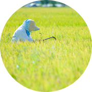 おいしさを追求する栽培方法