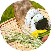 秋の田んぼ風景