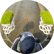 春の田んぼ風景