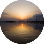 春の田んぼ風景