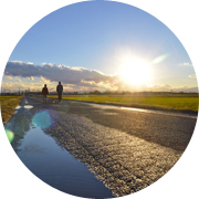 冬の田んぼ風景