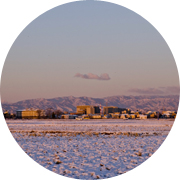 冬の田んぼ風景