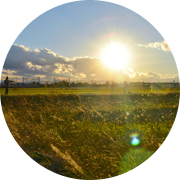 冬の田んぼ風景